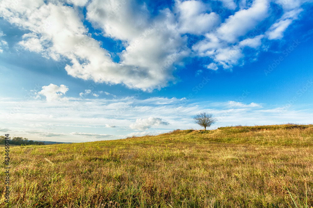 Landscape autumn field with colourful trees, autumn Poland, Europe and amazing blue sky with clouds, sunny day