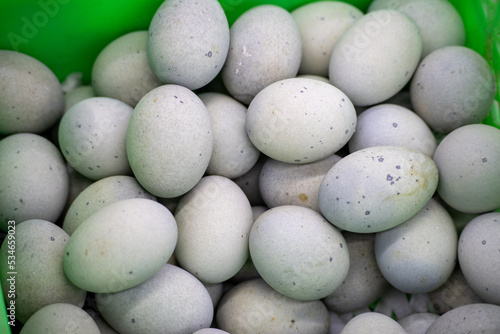 Preserved eggs,songhua eggs, Chinese foods photo