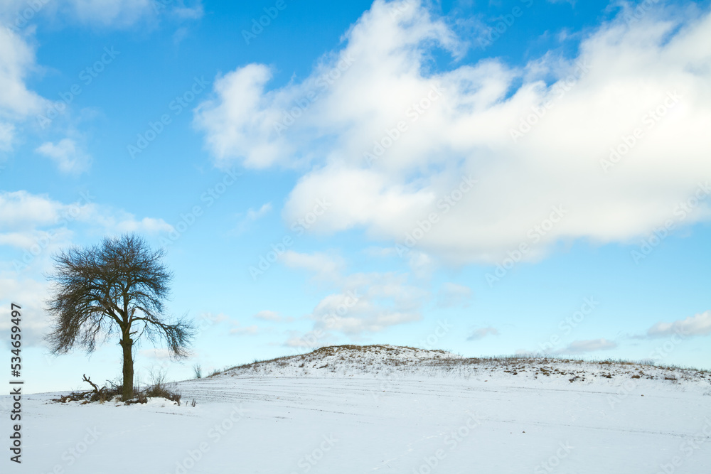 silhouette of lonely tree on the hill in Poland, Europe on sunny day in winter, amazing clouds in blue sky silhouette of lonely tree on the hill in Poland, Europe on sunny day in winter, amazing clouds in blue sky