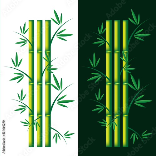 Set of  green bamboo plant on green and white background. Realistic detailed bamboo  green plant template card spa or nature concept for business