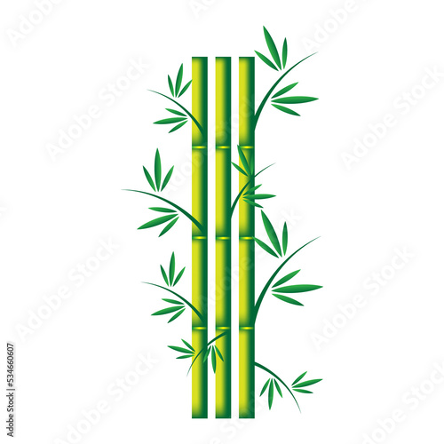 Fototapeta Naklejka Na Ścianę i Meble -  Handdrawn green bamboo plant. Realistic detailed bamboo chinese green plant template card spa or nature concept for business