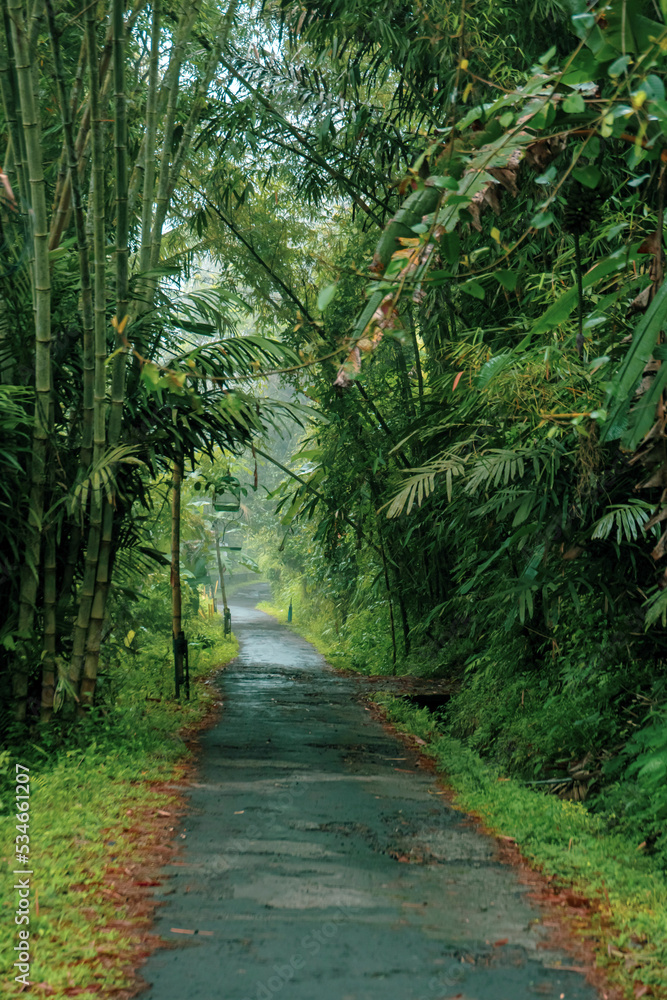 A straight path with lush greenery around it which is very peaceful and fresh in the morning in a countryside A straight path with lush greenery around it which is very peaceful and fresh in the morning in a countryside