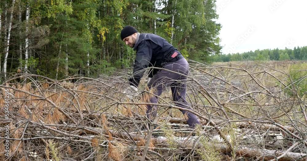 In protective gloves, a man cuts small branches from the trunk of a fallen tree with a strong blow of an ax. Processing logs for sawing for firewood. The concept of a man forester. In protective gloves, a man cuts small branches from the trunk of a fallen tree with a strong blow of an ax. Processing logs for sawing for firewood. The concept of a man forester.