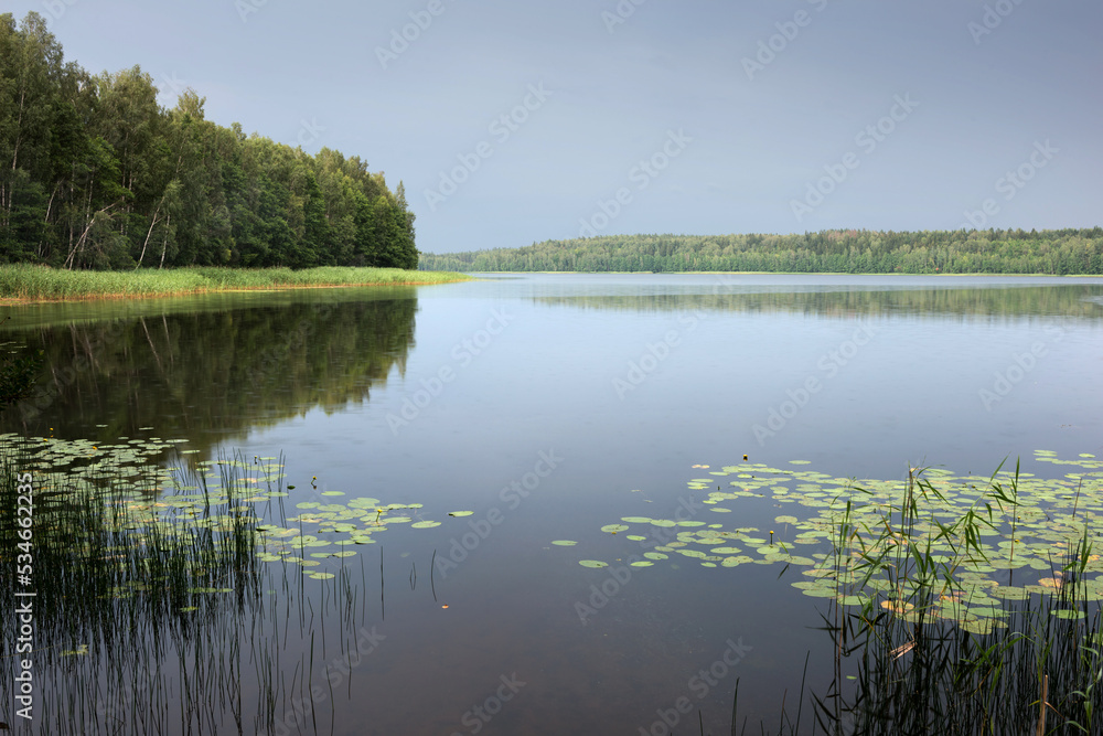 Serene landscape with a lake