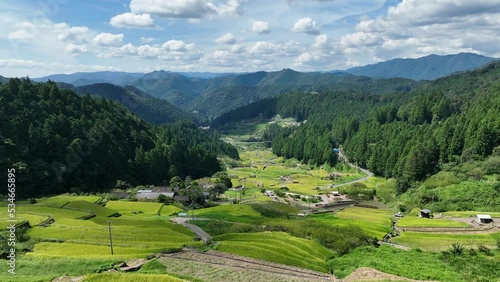愛知県新城市の四谷千枚田、稲刈り時期の風景
