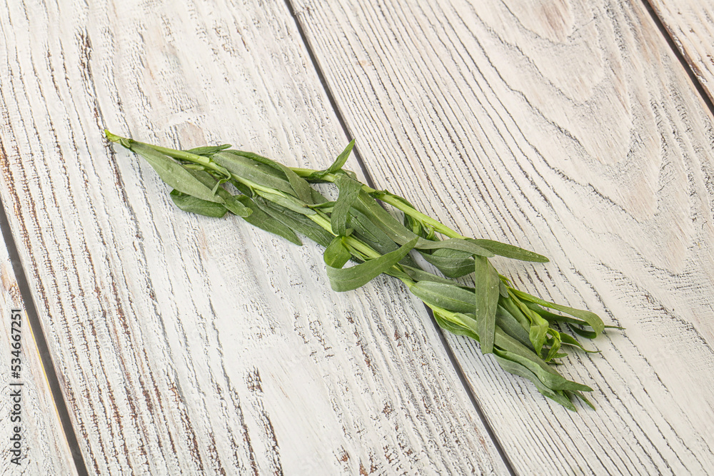 Green tarragon herb spice for cooking Green tarragon herb spice for cooking