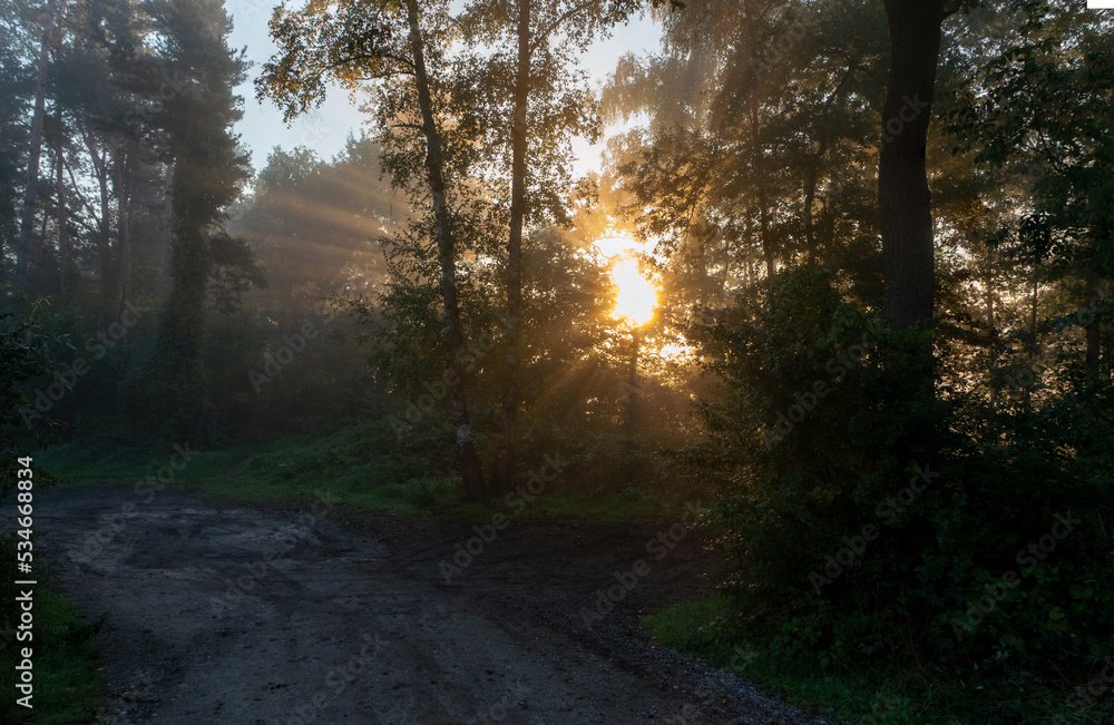 Obraz premium Nebelmorgen im Lipperbruch, Boker-Kanal