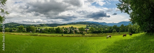 mountain landscape with horses on pasture