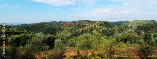 Picturesque Mediterranean landscape with hills covered with olive trees near La Brena reservoir in Spain