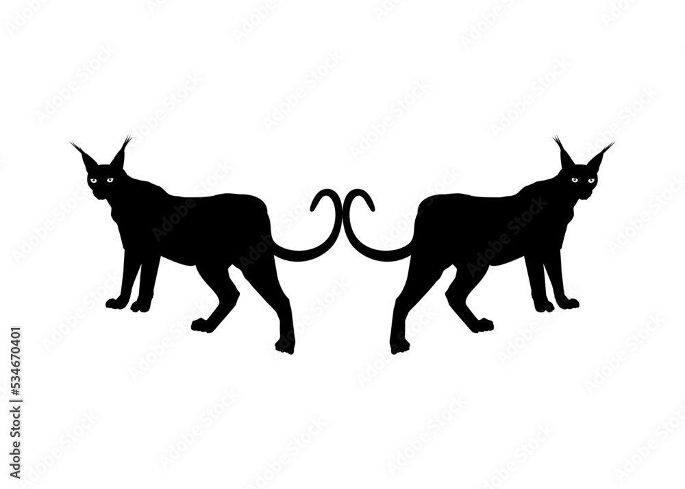 Pair of the Caracal Cat Silhouette for Logo, Pictogram, Website or Graphic Design Element. Vector Illustration Pair of the Caracal Cat Silhouette for Logo, Pictogram, Website or Graphic Design Element. Vector Illustration