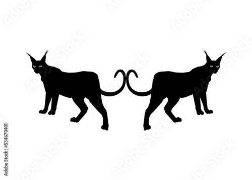 Pair of the Caracal Cat Silhouette for Logo, Pictogram, Website or Graphic Design Element. Vector Illustration