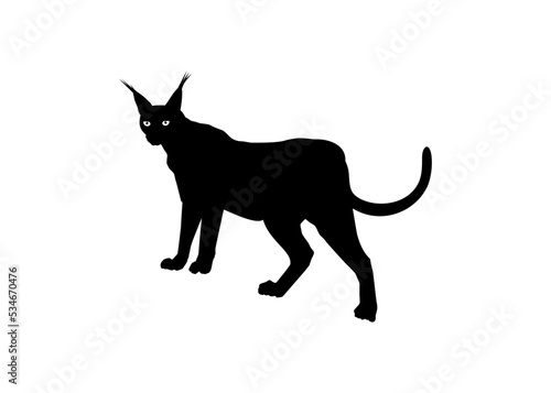 Caracal Cat Silhouette for Logo  Pictogram  Website or Graphic Design Element. Vector Illustration