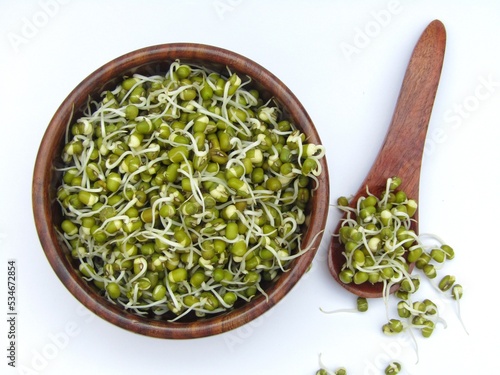 sprouted mung beans in a bowl on white background  photo