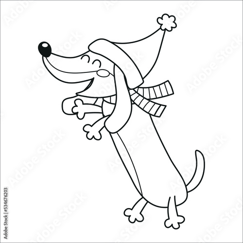 Funny dachshund dressed with a Santa's hat and a scarf, clipart