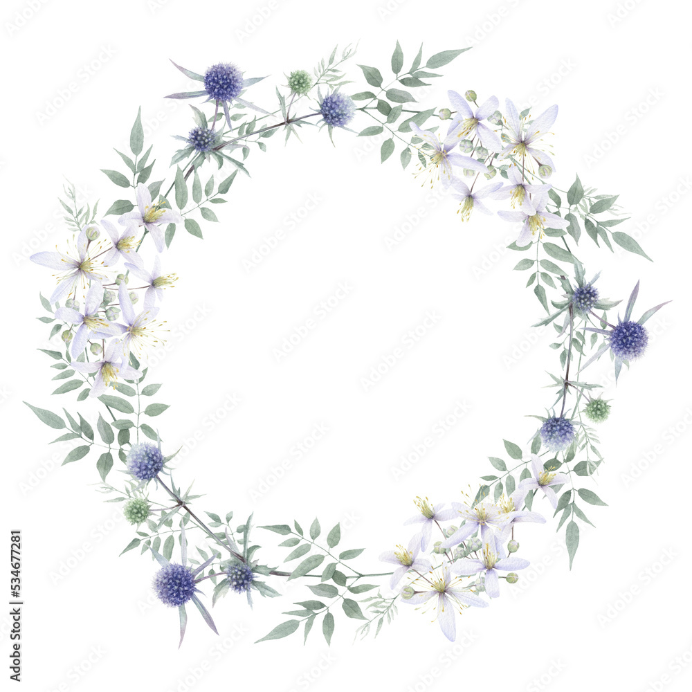 A floral wreath with sea holly flowers, small white clematis flowers and green leaves hand drawn in watercolor isolated on a white background. Watercolor illustration. Watercolor floral wreath.
