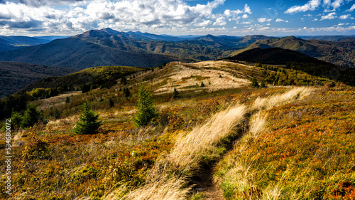 Fototapeta Naklejka Na Ścianę i Meble -  The palette of autumn colors in the mountains. Bukowe Berdo, Bieszczady National Park, Carpathians, Poland.