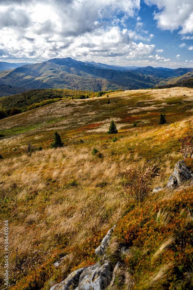 The palette of autumn colors in the mountains. Bukowe Berdo, Bieszczady National Park, Carpathians, Poland.