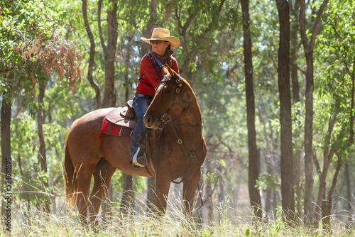 A lone cowgirl on horse turning and looking back.