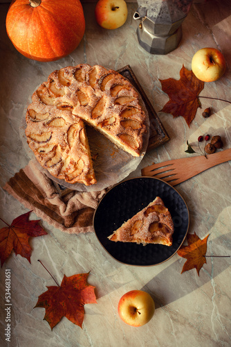 Homemade apple pie on a white background, top view, copy space