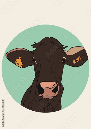 Illustration d’un portrait de vache de race bordelaise noir. Ce dessin est isolé dans un rond vert d’eau. La tête de la vache est en gros plan et nous regarde