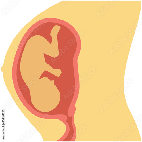 Pregnancy Colored Vector Icon