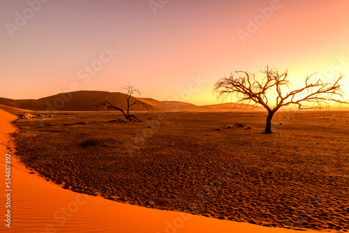 Blue hour in scenic Sossusvlei, Namib desert, Namibia