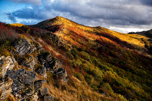 Fototapeta Naklejka Na Ścianę i Meble -  The palette of autumn colors in the mountains. Bukowe Berdo, Bieszczady National Park, Carpathians, Poland.