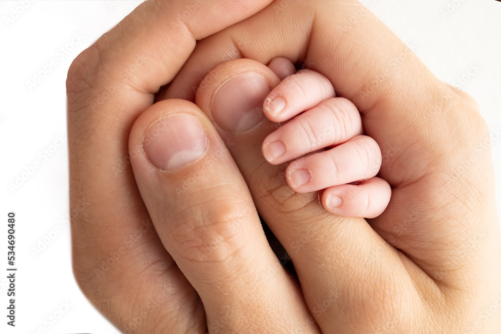 The hand of a sleeping newborn in the hand of parents, mother and father close-up. Tiny fingers of a newborn. The family is holding hands. Studio macro photography. Concepts of family and love. The hand of a sleeping newborn in the hand of parents, mother and father close-up. Tiny fingers of a newborn. The family is holding hands. Studio macro photography. Concepts of family and love.