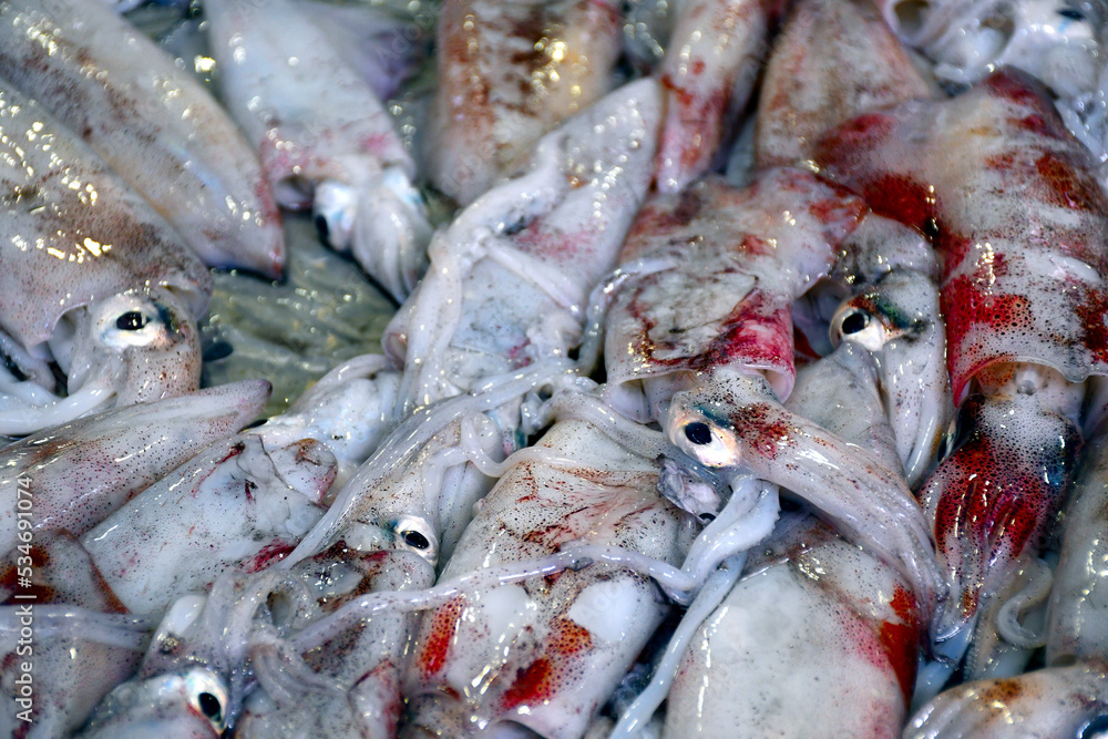 Nahaufnahme von frischen Meeresfrüchten auf einem Markt