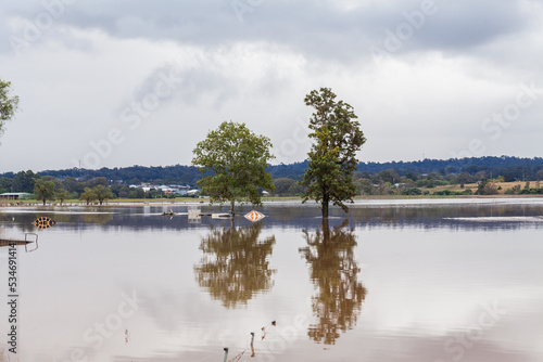 Two trees in flooded farm paddock with fence underwater photo