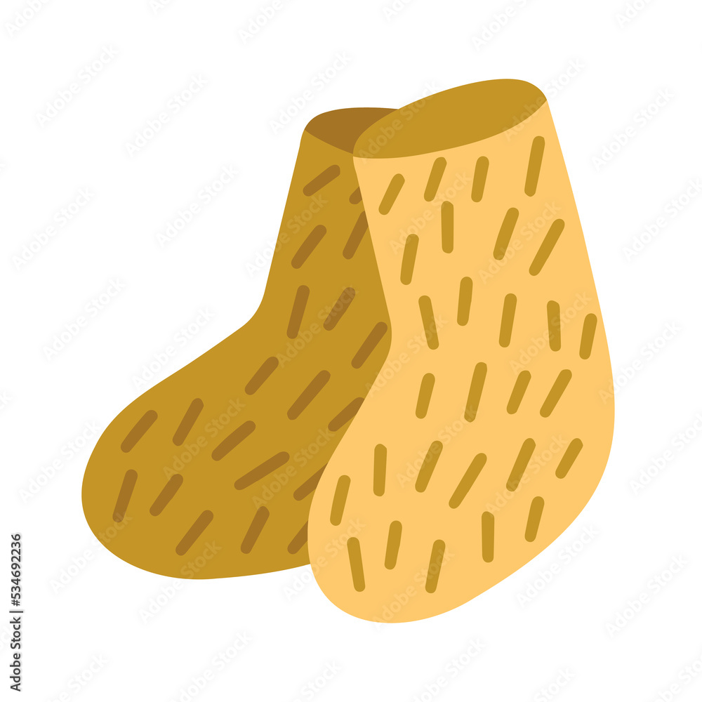 Russian felt boots isolated on white background. Russian felt boots isolated on white background.