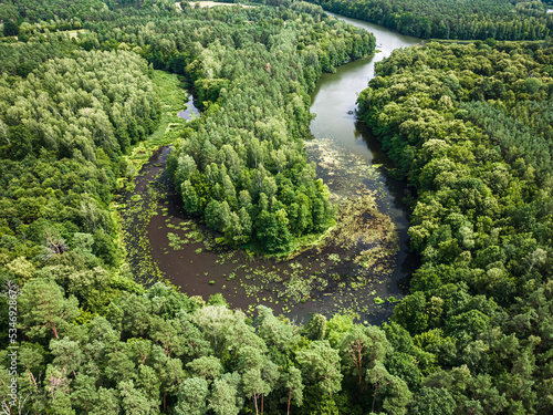 Curvy river and forests. Aerial view of wildlife in Poland