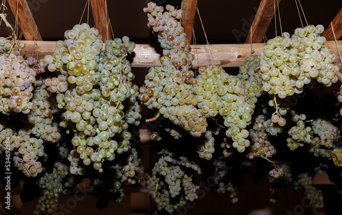 Canvas Print Bunches of grapes hanging from wooden beams.