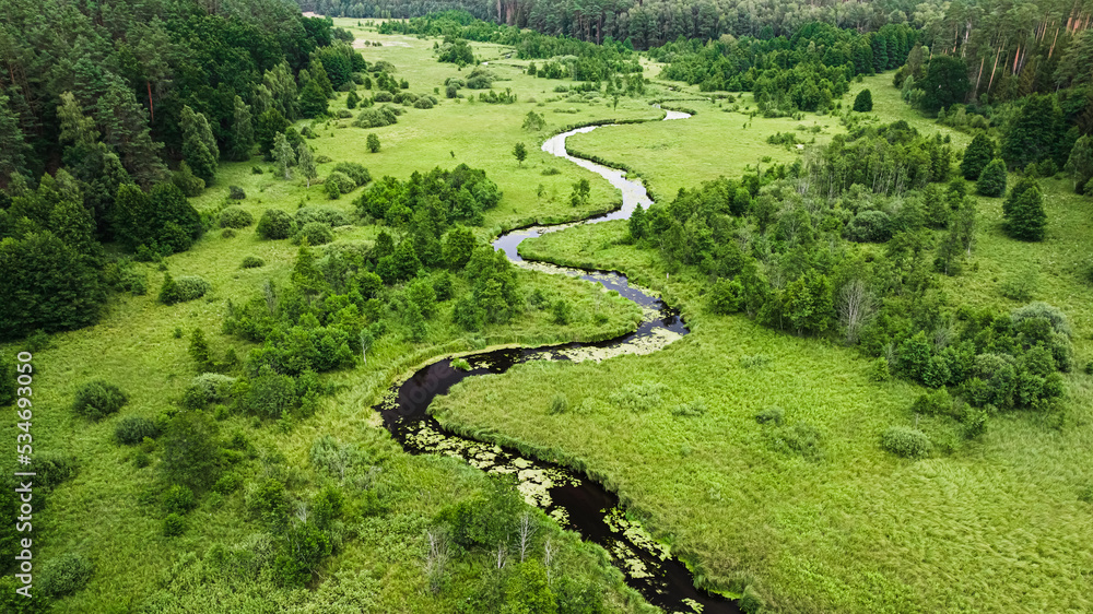 Small river and swamps in summer, aerial view Small river and swamps in summer, aerial view