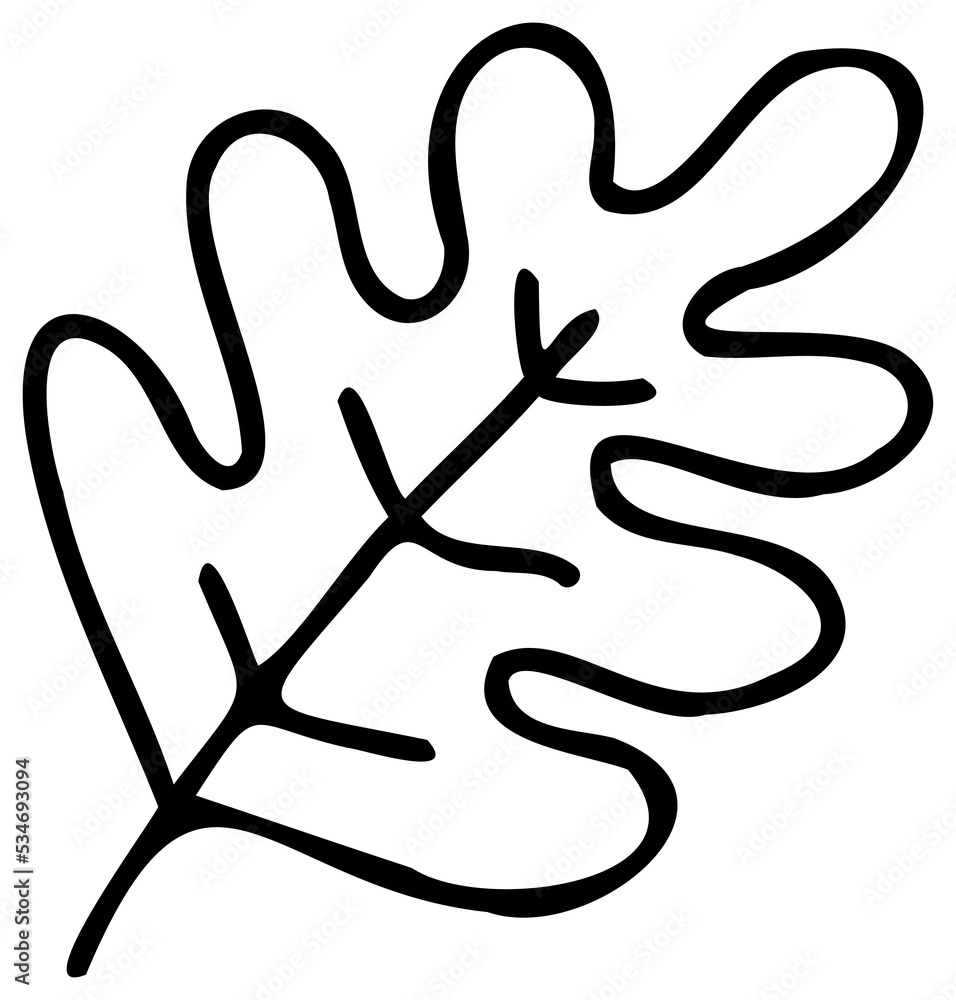 Obraz premium Line art plant. PNG with transparent background.