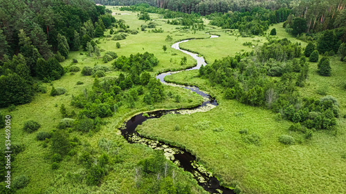 Small river and swamps in summer, aerial view