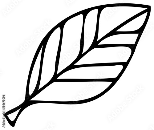 Line art plant. PNG with transparent background.
