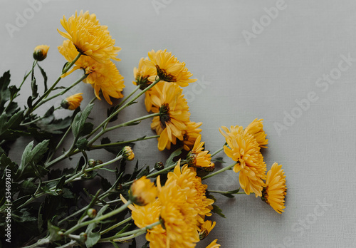 yellow flowers on the grey background