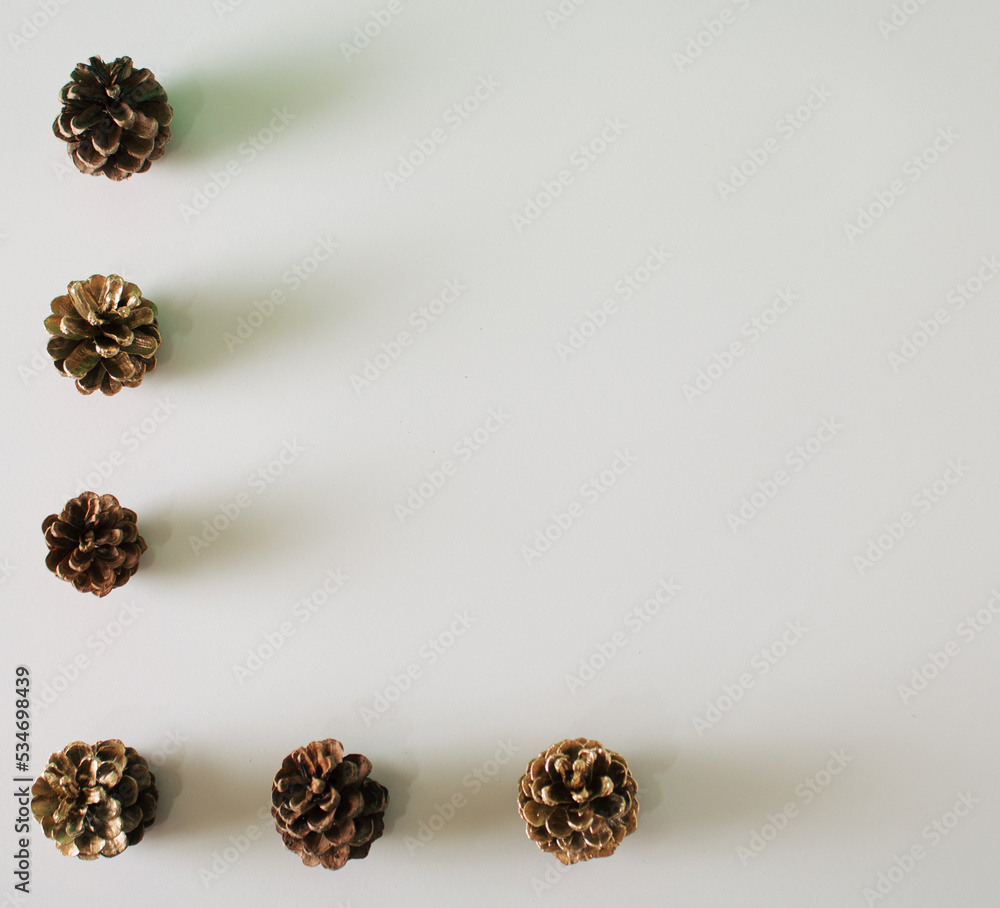 Pine cones standing in a row on white cold snow Pine cones standing in a row on white cold snow