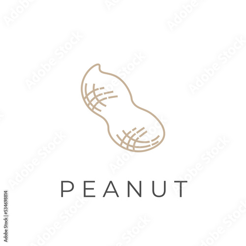 Simple peanut logo illustration vector 