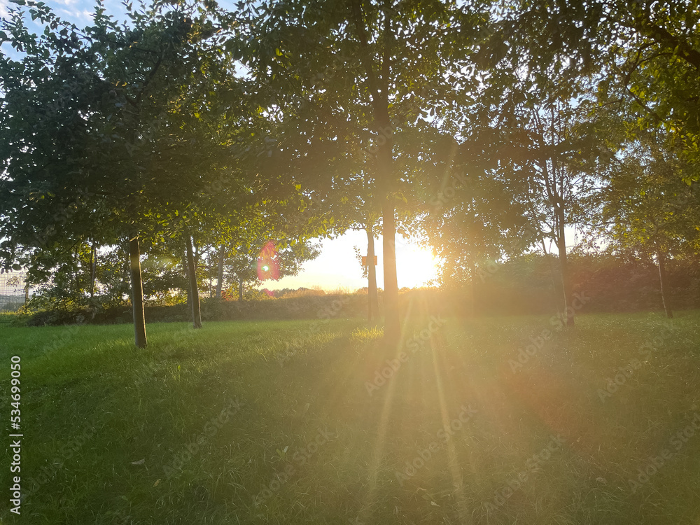 Fototapeta premium Sonnenuntergang