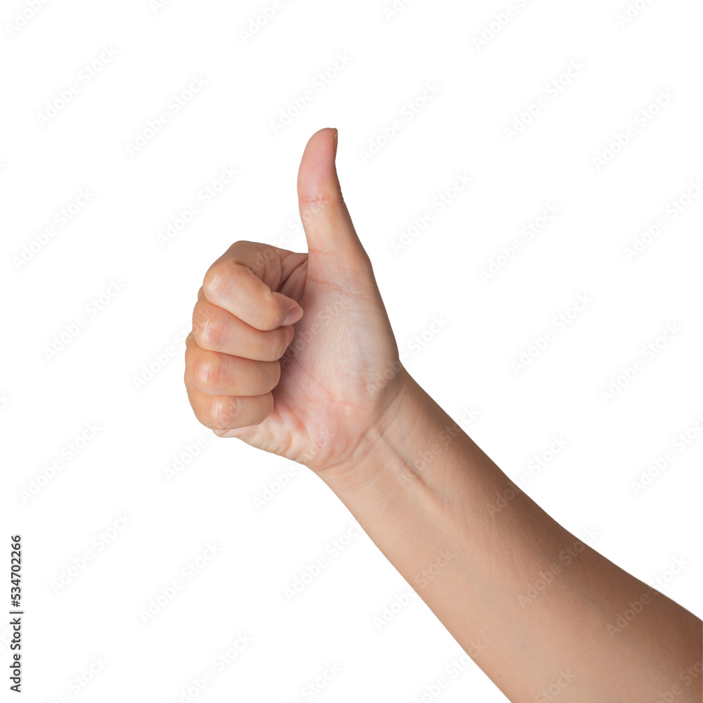 Closeup Beautiful female hand count from one to five gesture Isolated on blank white background. Set of woman palms raised fingers gesture numbers concept for people thumb nail solution. Closeup Beautiful female hand count from one to five gesture Isolated on blank white background. Set of woman palms raised fingers gesture numbers concept for people thumb nail solution.