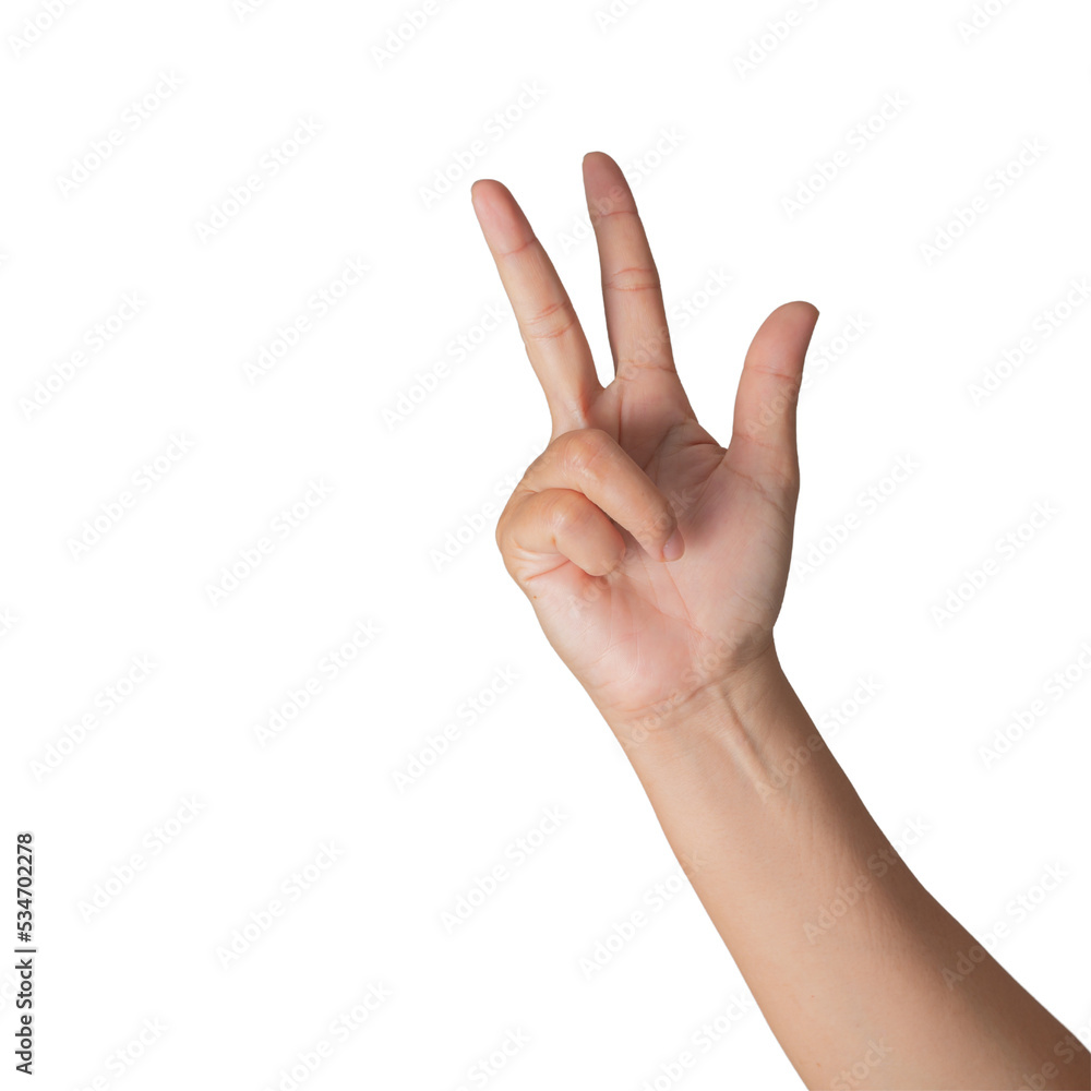 Closeup Beautiful female hand count from one to five gesture Isolated on blank white background. Set of woman palms raised fingers gesture numbers concept for people thumb nail solution. Closeup Beautiful female hand count from one to five gesture Isolated on blank white background. Set of woman palms raised fingers gesture numbers concept for people thumb nail solution.