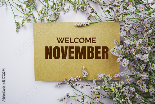 Welcome November written on paper card with flower frame decoraton on pink background photo