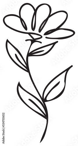 Line art flower illustration. PNG with transparent background.