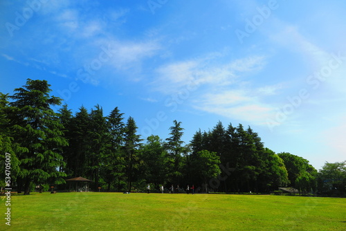 Fototapeta Naklejka Na Ścianę i Meble -  みずほエコパークの芝生広場の風景1