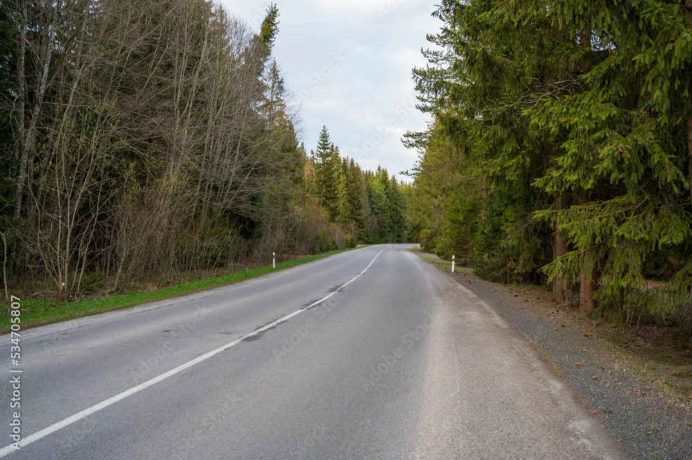 Empty asphalt road in nice peaceful coniferous forest. Empty asphalt road in nice peaceful coniferous forest.