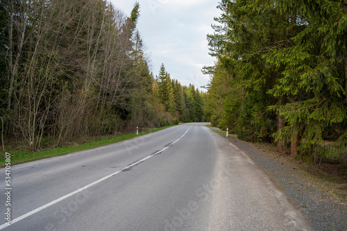 Empty asphalt road in nice peaceful coniferous forest.