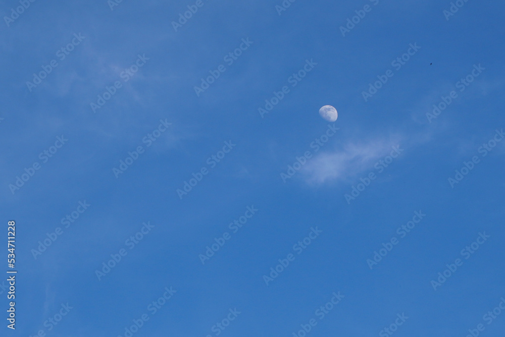 First quarter crescent moon on blue clear sky with soft fine white clouds at daytime First quarter crescent moon on blue clear sky with soft fine white clouds at daytime