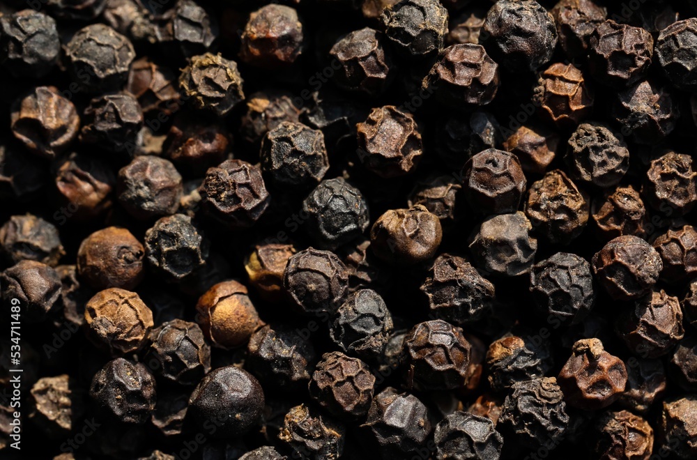 Black pepper corns in full frame. Indian spice background. Peppercorn
